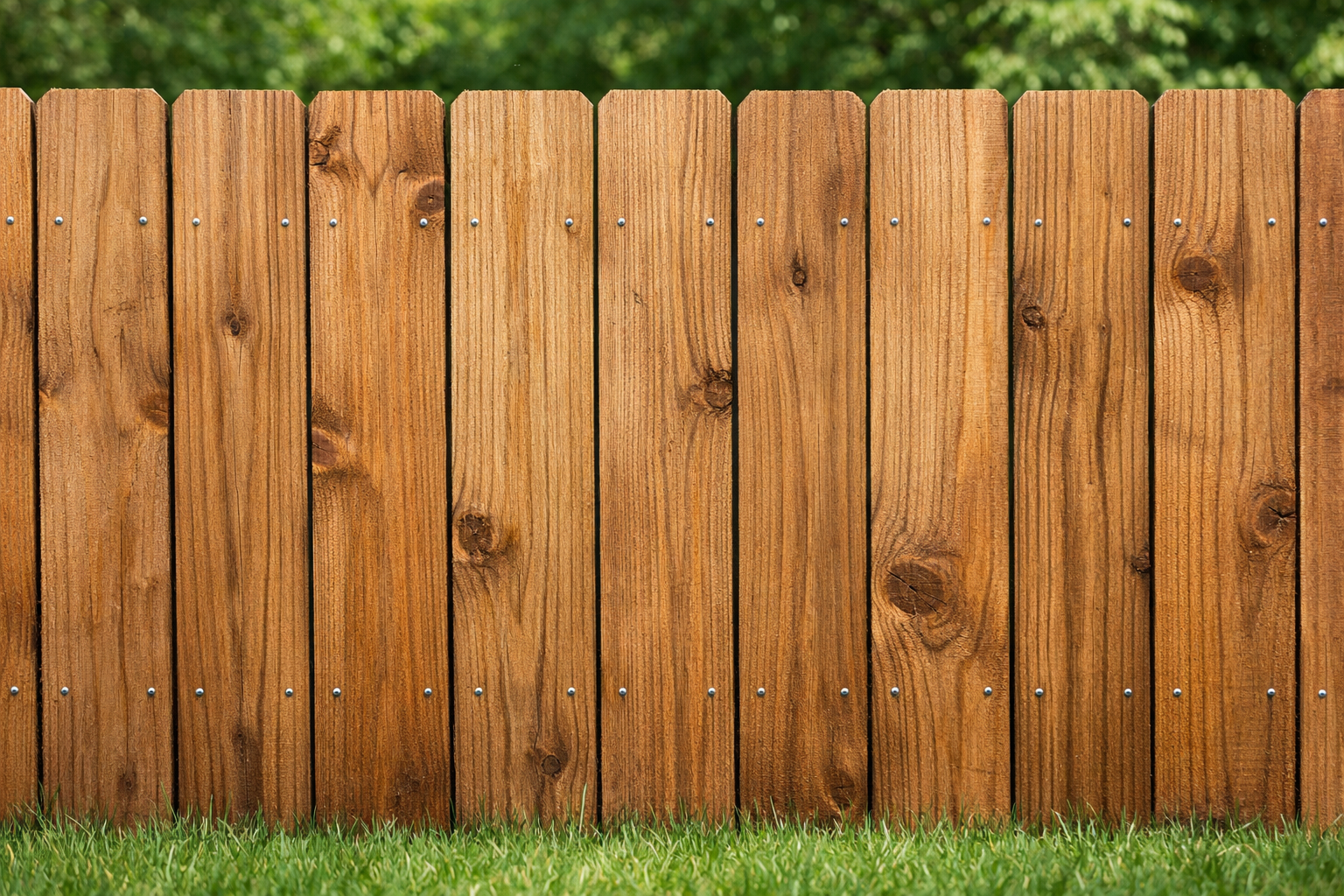 Fence staining, trim, and siding repair